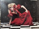 Vintage Stevie Nicks The Other Side of The Mirror LP
