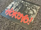 Thomas Mapfumo Hokoyo Vinyl Album Zimbabwe Afrobeat Fela Kuti Tony Allen