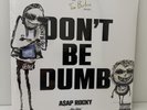 ASAP ROCKY - DON'T BE DUMB 2LP -  ROUGH TRADE EXCLUSIVE - Rocky Rugahand Variant