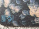 PINK FLOYD, OBSCURED BY CLOUDS FIRST PRESSING. 1972