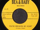 DAYLIGHTERS: you're breaking my heart / mad house jump BEA & BABY 7