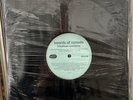Boards of Canada Telephasic Workshop / Roygbiv Promo 10 Vinyl 45RPM