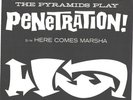 THE PYRAMIDS-BLACK VARIATION PICTURE SLEEVE+ 45-(PENETRATION)--PS--PIC-SLV