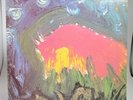 Meat Puppets - II Vinyl LP 1984 SST Records First Pressing