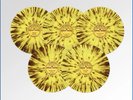 ELVIS PRESLEY- RELEASE 5 x SUN 78 RPM 10” VINYL SUNSPLAT SET / NEW