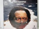 Thundercat “Drunk” 4 10” Red Vinyl Box Set 2017 - New Sealed
