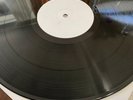 Lana Del Rey-Paradise-White Label Test Press-M Cond.