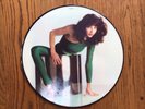 Kate Bush the Kick Inside LP 1978 First Edition EMI EMCP3223 Picturedisc,