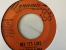 The Commands Hey It's Love No Time for You Dynamic