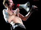 Scott Weiland 