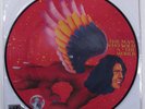 DAVID BOWIE The Man Who Sold The World 0825646963713 LP picture disc SEALED s