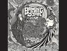 FLAMING STAR - IN THE PIPERS MAGICAL KINGDOM + BOTH INSERTS - PSYCH
