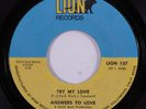 Sweet Soul 45 ANSWERS TO LOVE Try My Love LION VG++ HEAR i