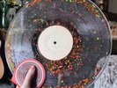 Sabrina Carpenter | Fruitcake LP | Liquid Glitter Vinyl | Limited Edition
