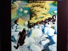 Human Instinct-Stoned Guitar New Zealand hard rock psych lp reissue
