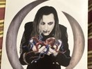 A Perfect Circle Eat the Elephant Vinyl LP Record Album Alternative Rock BMG