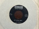 RARE Okla Teener Rock 45 Roger Borden & The Viscounts - Hey Little Judee VG++