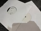 Animal Collective  ‘Feels’ [12” Double Vinyl Record] Rare Test Pressing FAT-SP11