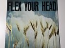FLEX YOUR HEAD/DISCHORD N°7/Vinyl LP 1982 US Wheat Field Cover W Poster 3k Press