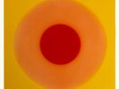 BEATIE WOLFE & BRIAN ENO   Luminal   2025 UK 11-track **ORANGE** vinyl LP   NEW