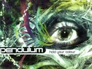 Pendulum Hold Your Colour (Vinyl) Limited  12