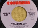 Blue Oyster Cult 