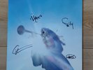 GEESE Getting Killed unplayed violet vinyl LP SIGNED Cameron Winter +3