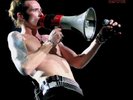Scott Weiland 
