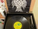 PIRANA IMPORT SCARCE Australian PROG ROCK Harvest Label RARE VPI CLEANED NM LP