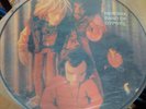 Hendrix Band of Gypsys Picture Disc Vinyl Record Collectible Music Album