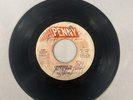 THE CHEERS I'm Not Ready To Settle Down / Mighty Mighty Lover Penny Soul 45 RPM