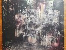 La Dispute Wildlife Dark Red Limited to 500 First Pressing Vinyl LP Used