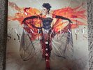 Synthesis by Evanescence - Double LP (Record, 2017)