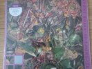 The Stone Roses So Young Tell Me Raspberry 12