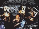 Snoop Doggy Dogg No Limit Top Dogg (Ltd. Edt.) (Vinyl) (US IMPORT)
