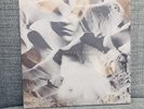 More Than Life Love Let Me Go Vinyl Record FFO Holy Roar Knocked Loose GlassJAw
