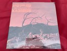 C A QUINTET TRIP THRU HELL REPRESS MINT 1969 PSYCHEDELIC CLASSIC