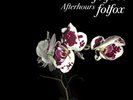 AFTERHOURS - FOLFIRI O FOLFOX - 2LP VINYL NEW SEALED 2016