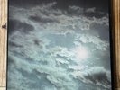 Peter Green 'In The Skies' PVK Records ‎PVLS 101 A3/B3 UK 1st g/fold 1979