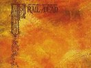 And You Will Know Us By The Trail of Dead Source Tags and Codes (Vinyl)