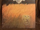 Big Game-180-Gram Black Vinyl by White Lion (Record, 2024)