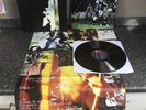 LP VINYL PAUL WELLER WILD WOOD 828 435 1 UK 1ST PRESS INCL POSTER & CARD EX/NM-