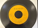 The Si-Berians - Rare Chicago 70s Sweet Soul 45 (Clips Included)
