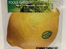 Fools Garden - Lemon Tree Vinyl EP RSD #900 Limited Edition Album