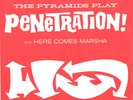 THE PYRAMIDS-RED VARIATION PICTURE SLEEVE+45-(PENETRATION)--PS-PIC--SLV