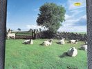 The KLF Chill Out Vinyl LP on KLF Communications JAMSLP5 1990  Release A1 B1