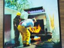 ZUMPANO - Look What the Rookie Did - VINYL LP NM Sub Pop