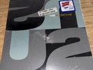 U2 All I Want Is You  Vinyl Limited Edition 12