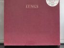 Florence and the Machine Lungs Deluxe 10th Anniversary Box Set Pink Vinyl 2019