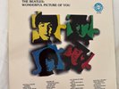 The Beatles - Wonderful Picture Of You Used Vinyl Rock Pop